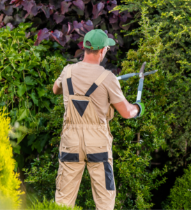 Paysagiste-palau-del-vidre-cote-vermeille-perpignan-66-mur pierre-seche-création-de-jardin-entretien-de-jardin-plantation-de-jardin-Jardinier-entretien-espace-vert-maçonnerie-exterieur-amenageur-entrepreneur-autoentreprise