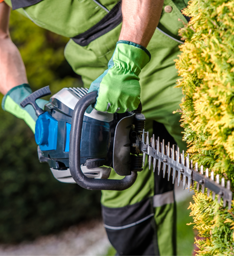 Paysagiste-palau-del-vidre-cote-vermeille-perpignan-66-mur pierre-seche-création-de-jardin-entretien-de-jardin-plantation-de-jardin-Jardinier-entretien-espace-vert-maçonnerie-exterieur-amenageur-entrepreneur-autoentreprise